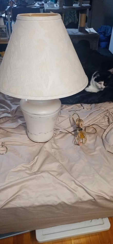 Photo of free Lamp (East Beechwood area) #1