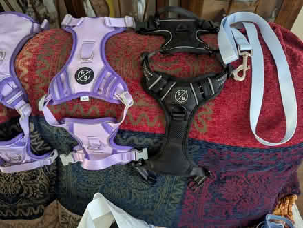 Photo of free Small dog harnesses (Magham Down BN27) #2