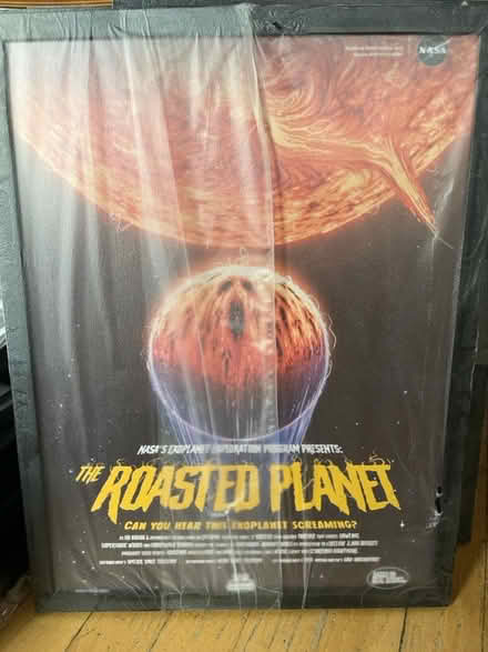 Photo of free NASA space posters (East Village) #4