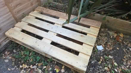 Photo of free Wooden pallet (Haywards Heath RH16) #1
