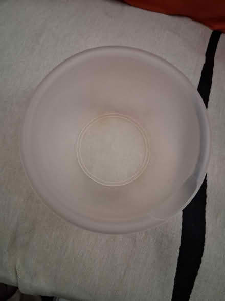 Photo of free Plastic Bowl (West Harlem, near Harlem Hosp) #1