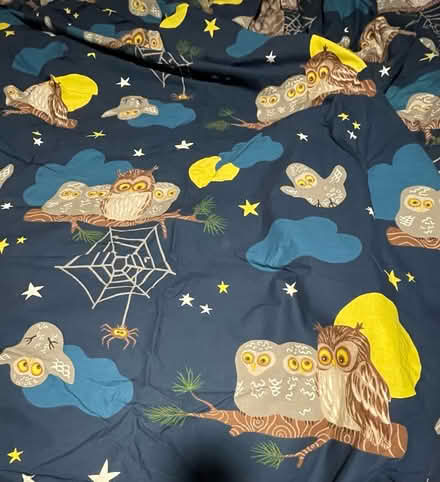 Photo of free IKEA owl print curtains (12th & Otis Streets NE) #2