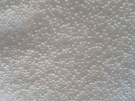 Photo of free Polystyrene Beads (Kennington TN24) #2