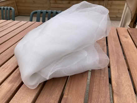 Photo of free Raspberry/protective garden net (GMV SE10) #1
