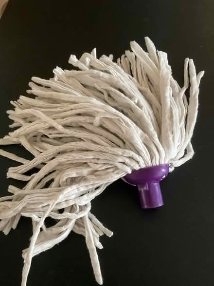 Photo of free Mop Head (Eynsham OX29) #1