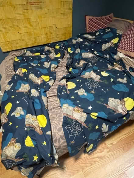 Photo of free IKEA owl print curtains (12th & Otis Streets NE) #1