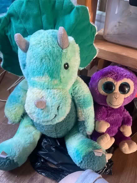 Photo of free Dinosaur and monkey (Blacklands TN34) #1