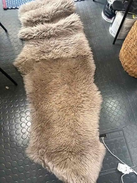 Photo of free Fur throw (Stoke Newington N16) #1