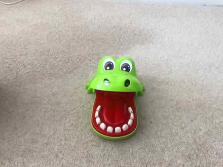 Photo of free Crocodile dentist (Crooks Barn TS20) #1