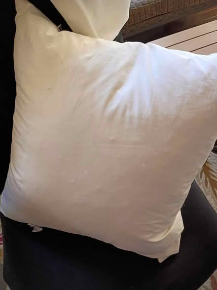 Photo of free Pottery Barn white duck pillow (west Roseville) #2