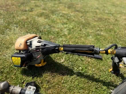 Photo of free Petrol and corded garden tools (Denby DE5) #1