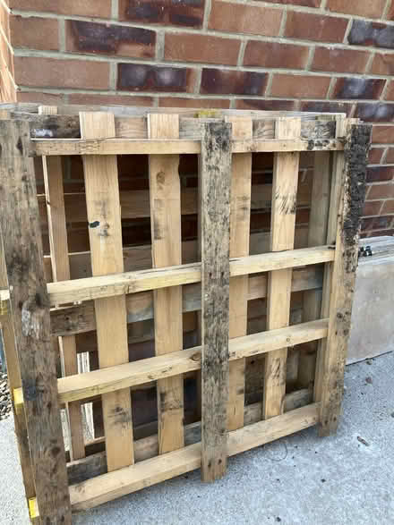 Photo of free 2x pallets (North wootton PE30) #1