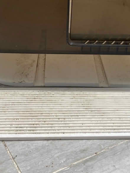Photo of free Cat litter box (W12) #2
