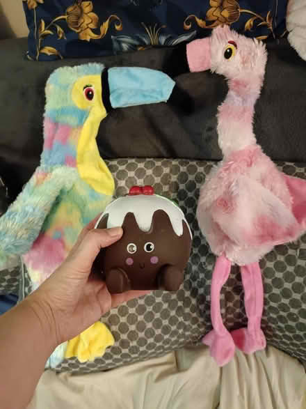 Photo of free Dog toys (St. Stephen's CT2) #1