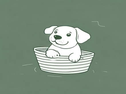 Photo of free Dog Toy Basket (Broadwater SG2) #1