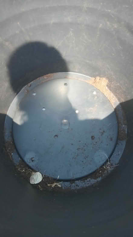 Photo of free Very large black plastic planter (Huyton L36) #1
