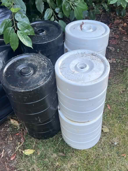 Photo of free Checkers garden game (Lambs Green RH12) #1