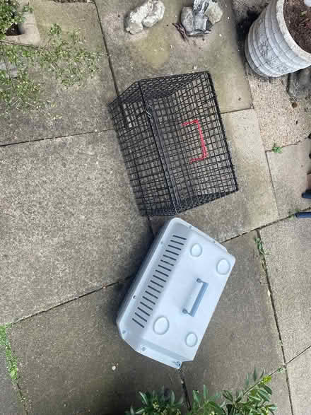 Photo of free Cat baskets (Sg9) #1