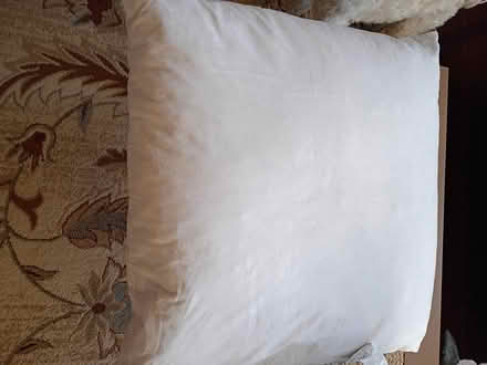 Photo of free Pottery Barn white duck pillow (west Roseville) #3