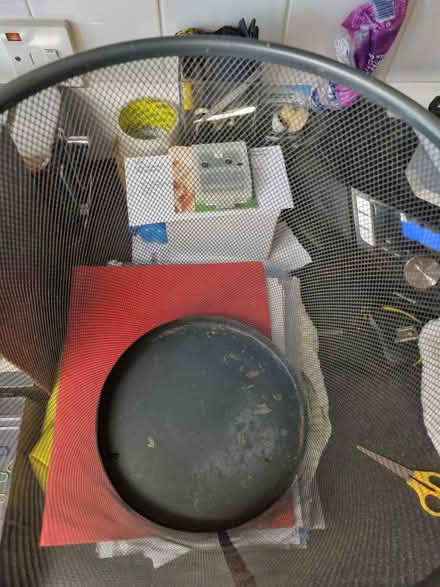 Photo of free Bin (SE20) #2
