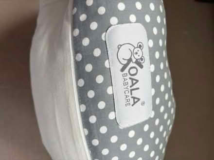 Photo of free Koala pregnancy pillow (Merton SW19) #2