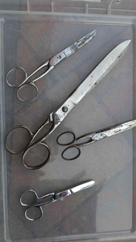 Photo of free Assortment of scissors (RG24 Old Basing) #1