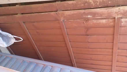 Photo of free Old Fence Panels (Eaton Ford PE19) #1