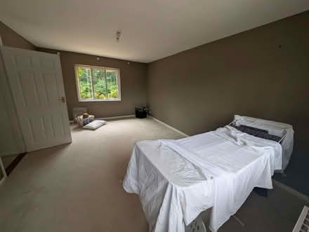 Photo of free Cream carpets available again (Wickham PO17) #1