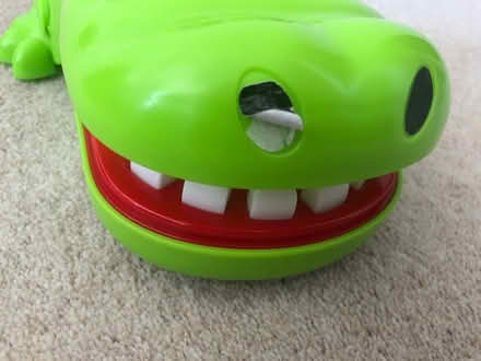 Photo of free Crocodile dentist (Crooks Barn TS20) #4