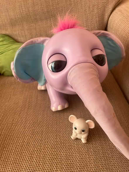 Photo of free Juno the elephant (Blacklands TN34) #1