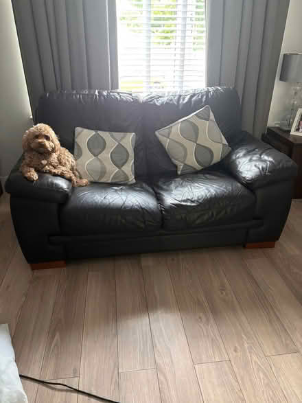 Photo of free 2 seater and 3 seater sofas (Barrhead G78) #1