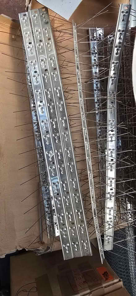 Photo of free Pigeon / Seagull Spikes (Broadway, Fleetwood FY7 8HF) #2