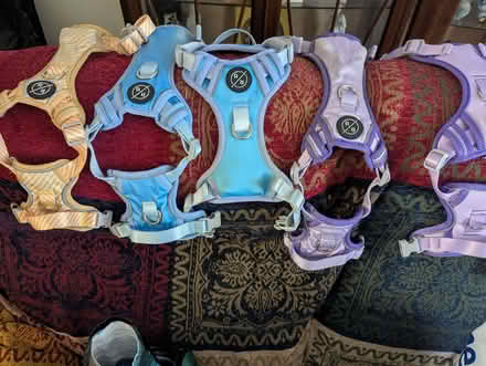 Photo of free Small dog harnesses (Magham Down BN27) #1