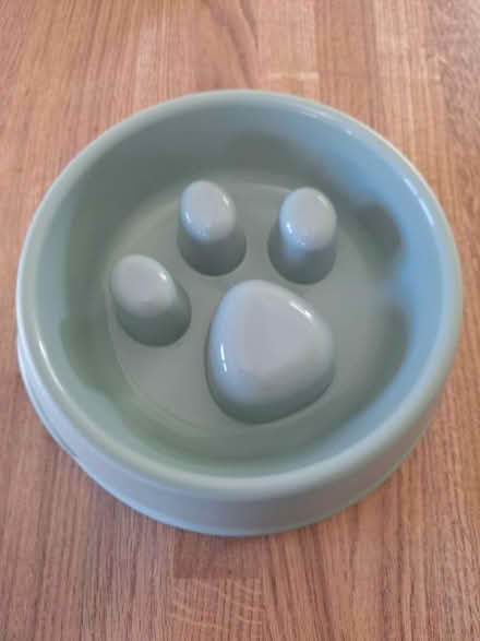 Photo of free Cat feeder bowl (Pemberton WN5) #1