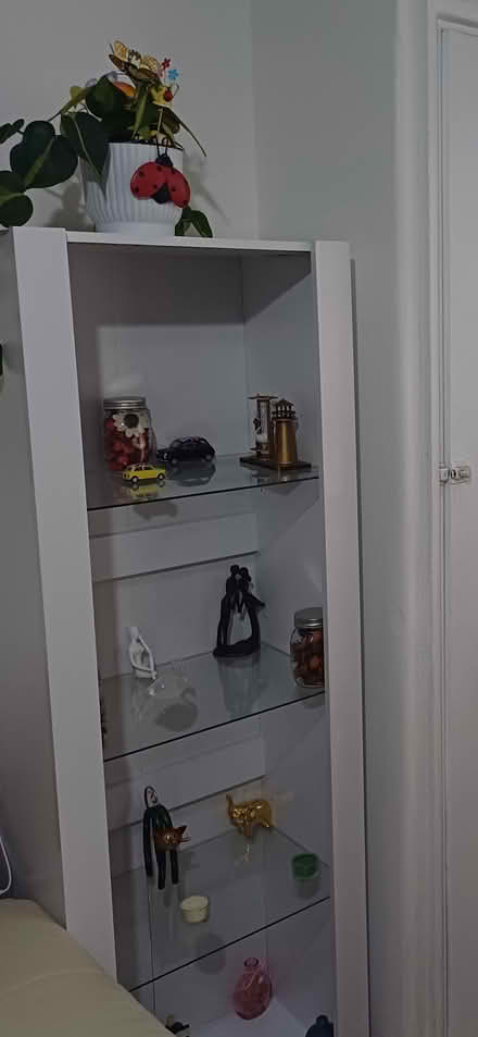 Photo of free Cabinet with glass shelves (Kennington Lane) #2