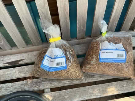 Photo of free Bird feeder & bird food (Anstey Height’s LE4) #2