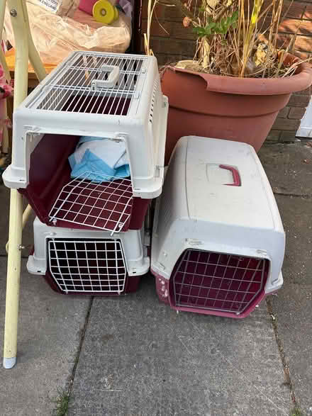 Photo of free Small dogs or cats cage (Dublin4) #1