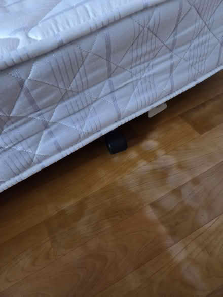Photo of free Single trundle bed with wheels (Camden NW1) #3