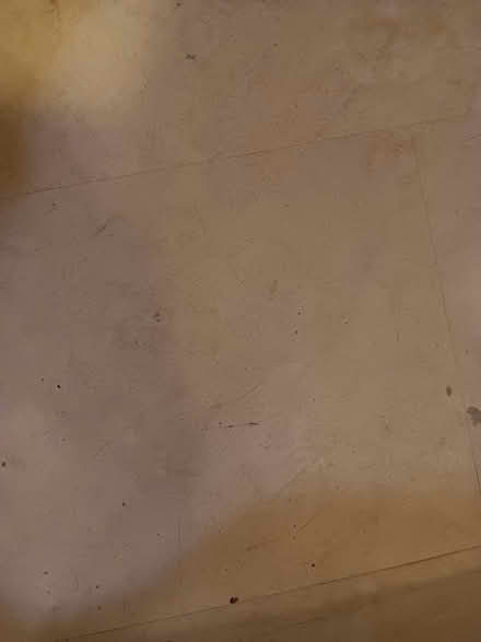Photo of free Marmoleum tiles (Takoma Park) #3