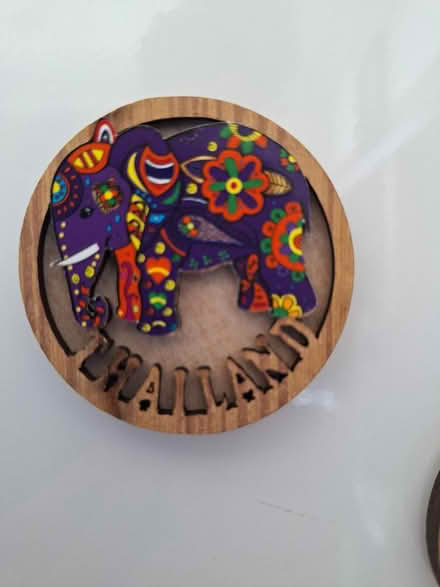 Photo of free 2 elephant Thailand fridge magnets (Pemberton WN5) #2