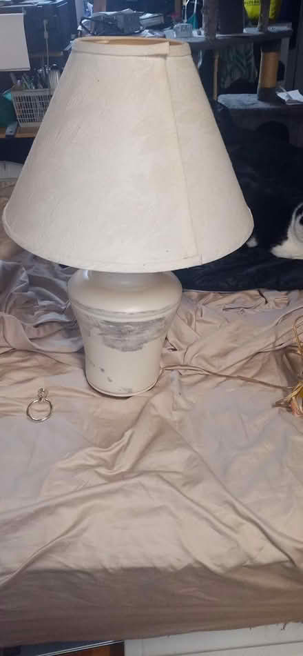 Photo of free Lamp (East Beechwood area) #2