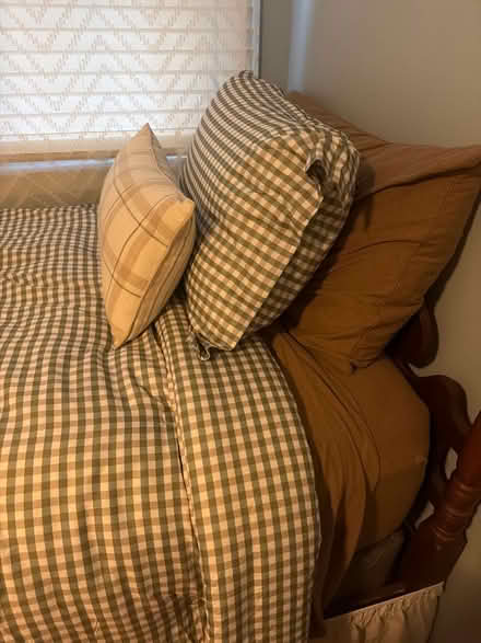 Photo of free Twin bed frame w/ mattress (Manor Drive, Mount Airy) #2