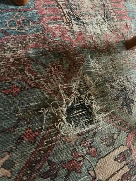 Photo of free 8x10 rug (Ijamsville) #2