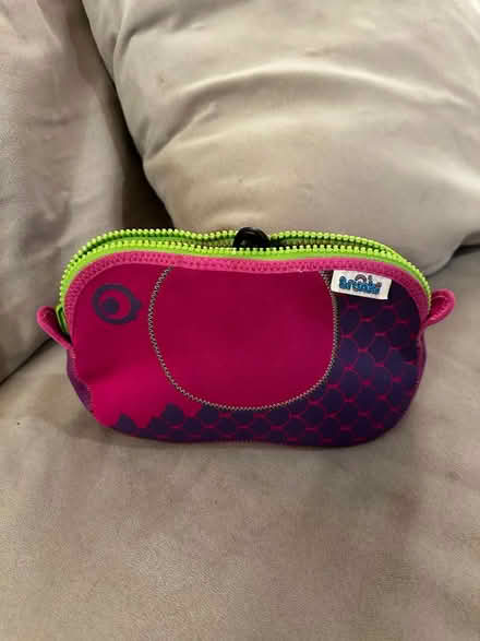 Photo of free carrying case (Palisades, NW, WDC) #1