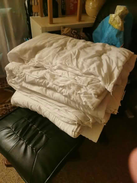 Photo of free Quilts bedding (Trowbridge BA14 0EH) #1