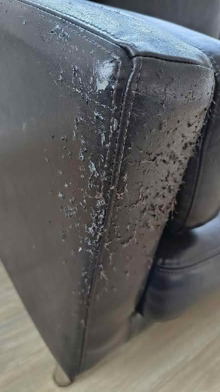 Photo of free Sofa, Brown Leather (St. Dunstan's CT2) #3
