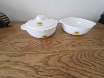 Photo of free Plastic bowls with 1 lid (Barming ME16) #1