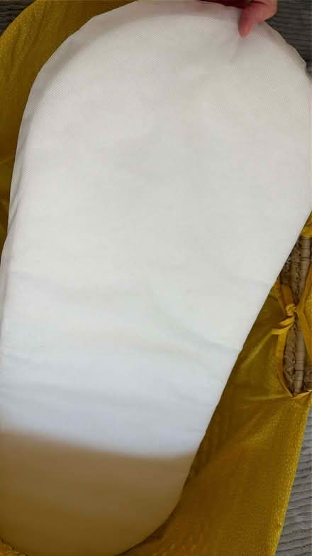 Photo of free Moses Basket (Merton SW19) #2
