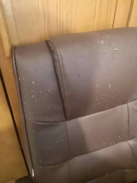 Photo of free Desk Chair (Clapton, E5) #4