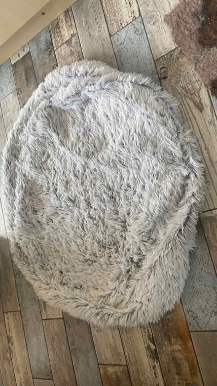 Photo of free Cover for dog bed (Woodingdean BN2) #1